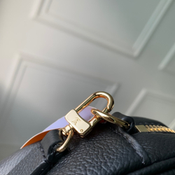 Louis Vuitton Tiny Camera Bag