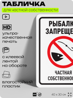 Табличка для частной территории "Рыбалка запрещена", на дом, для участка, организаций и частных территорий, предупреждающая, 40х30 см, Silver Plane x Айдентика Технолоджи