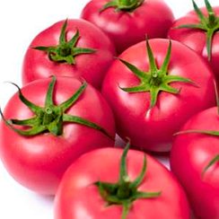 ПИНК КАЛИБР F1 семена томата (Sakata | Alexagro)