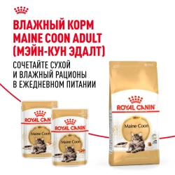 Royal canin maine coon adult сухой корм для взрослых кошек породы мейн - кун - 400 г
