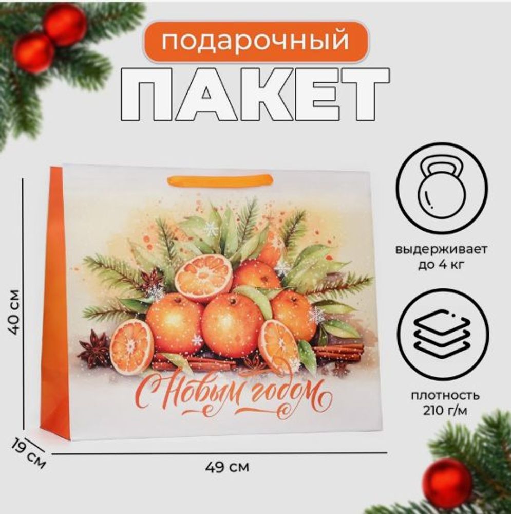 Пакет подарочный "Пряности и Цитрусы", XL 49×40×19 см