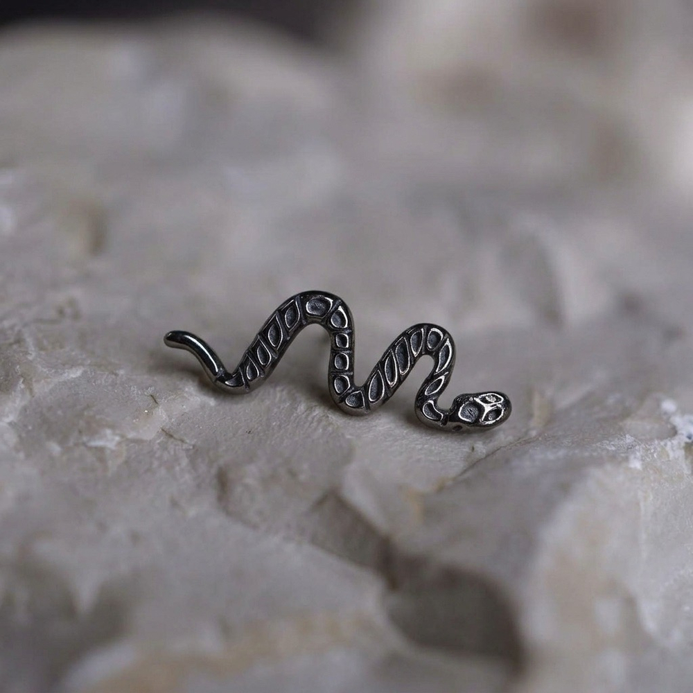 SNAKE