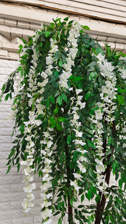 Искусственная Акация белая 240см в техническом кашпо