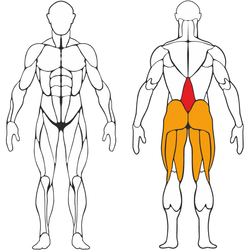 Гиперэкстензия горизонтальная Белый