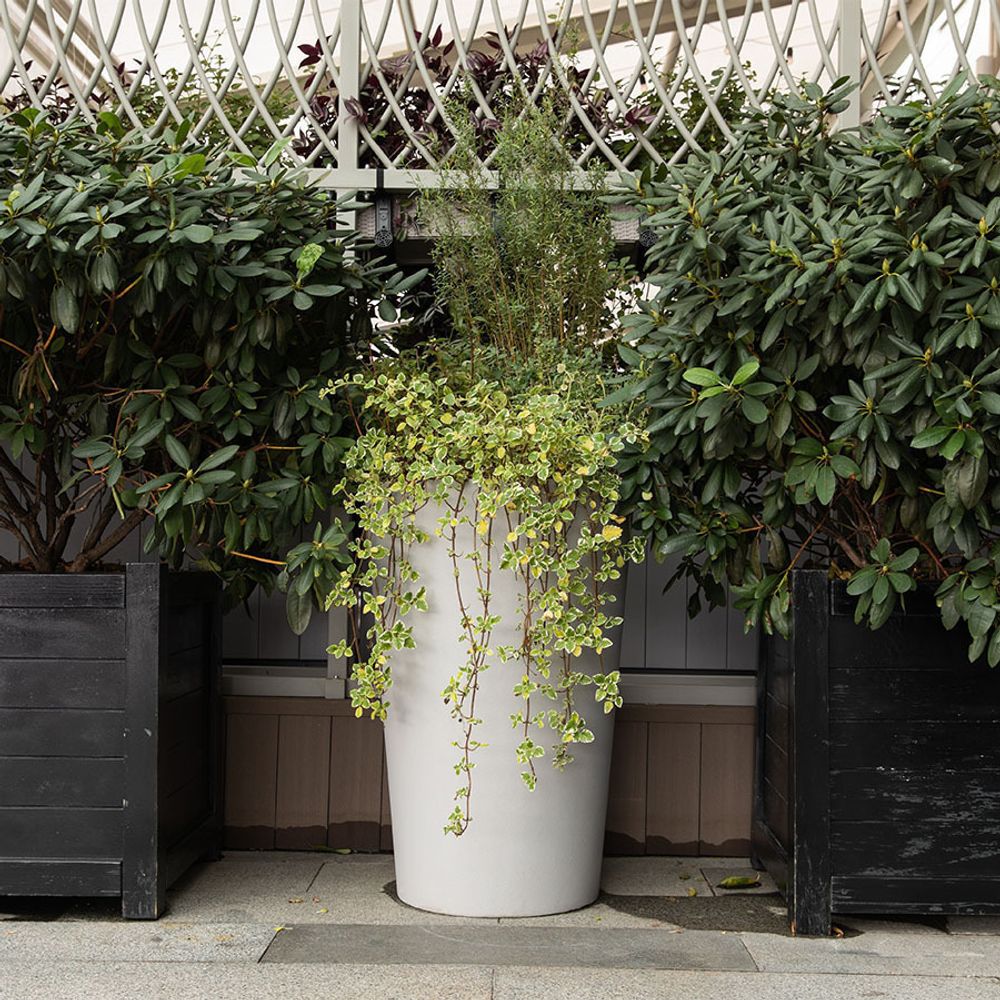 Кашпо BALCONY SHALE 60 х 20 х 20