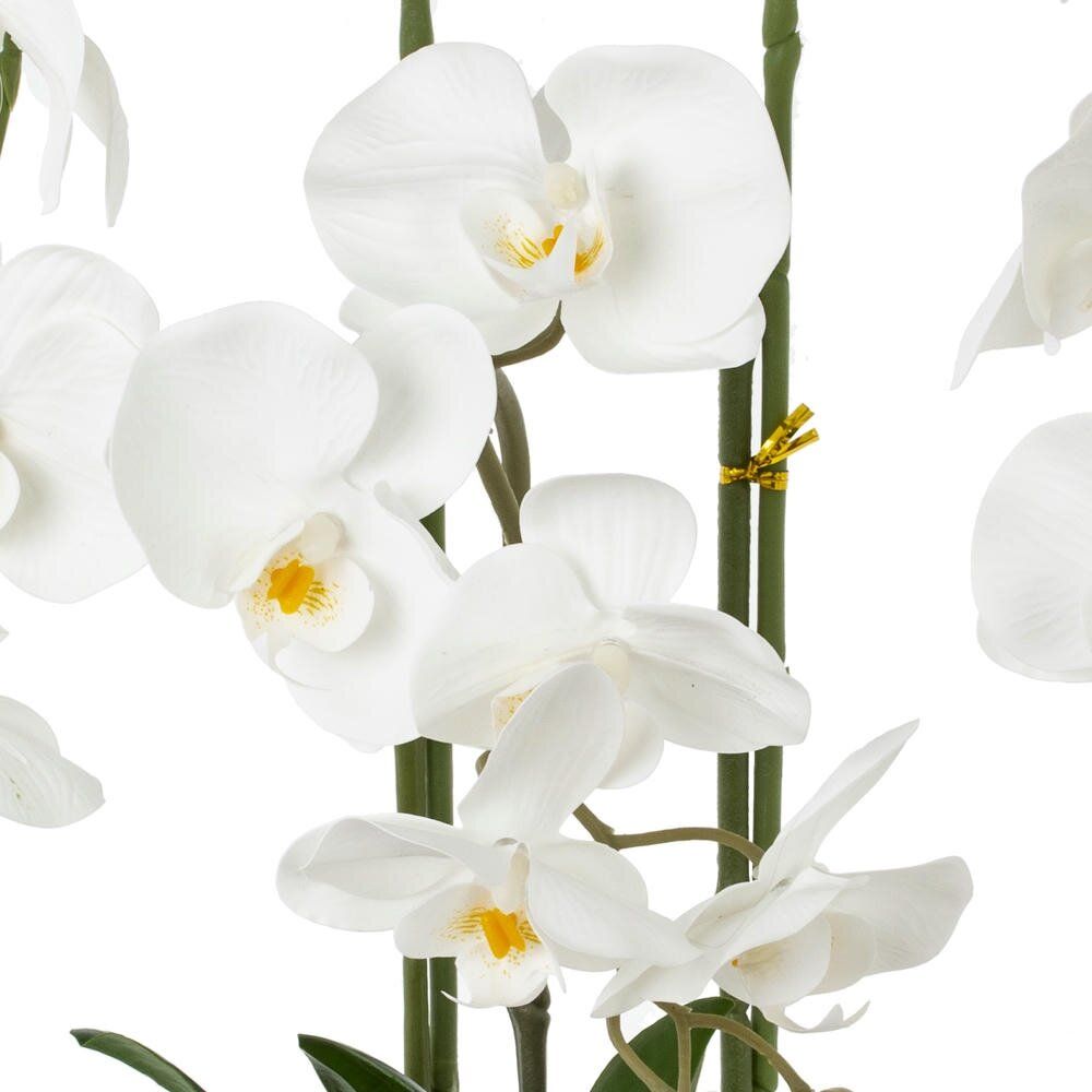 GAEM Цветочная композиция, L W H50 см