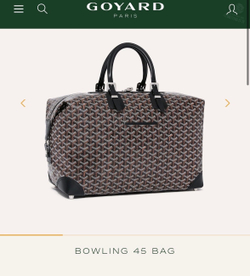 Дорожная сумка Goyard