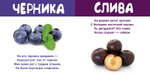 Мои фрукты и ягоды
