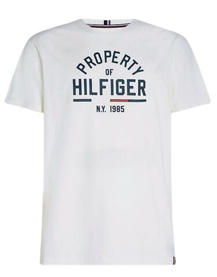 Мужская теннисная футболка Tommy Hilfiger Graphic SS Tee - ancient white