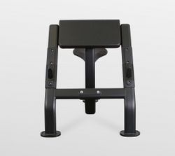 Скамья Скотта Bronze Gym BR-1007