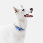 Ошейник Midnight Safari