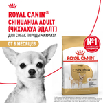 Royal Canin Chihuahua Adult Корм сухой для взрослых собак породы Чихуахуа от 8 месяцев 0,5 кг
