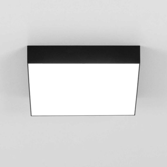 Накладной светодиодный светильник Citilux Тао CL712X242N