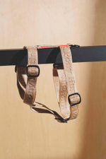 Шлейка "Пони-Компаньони" Бежевый