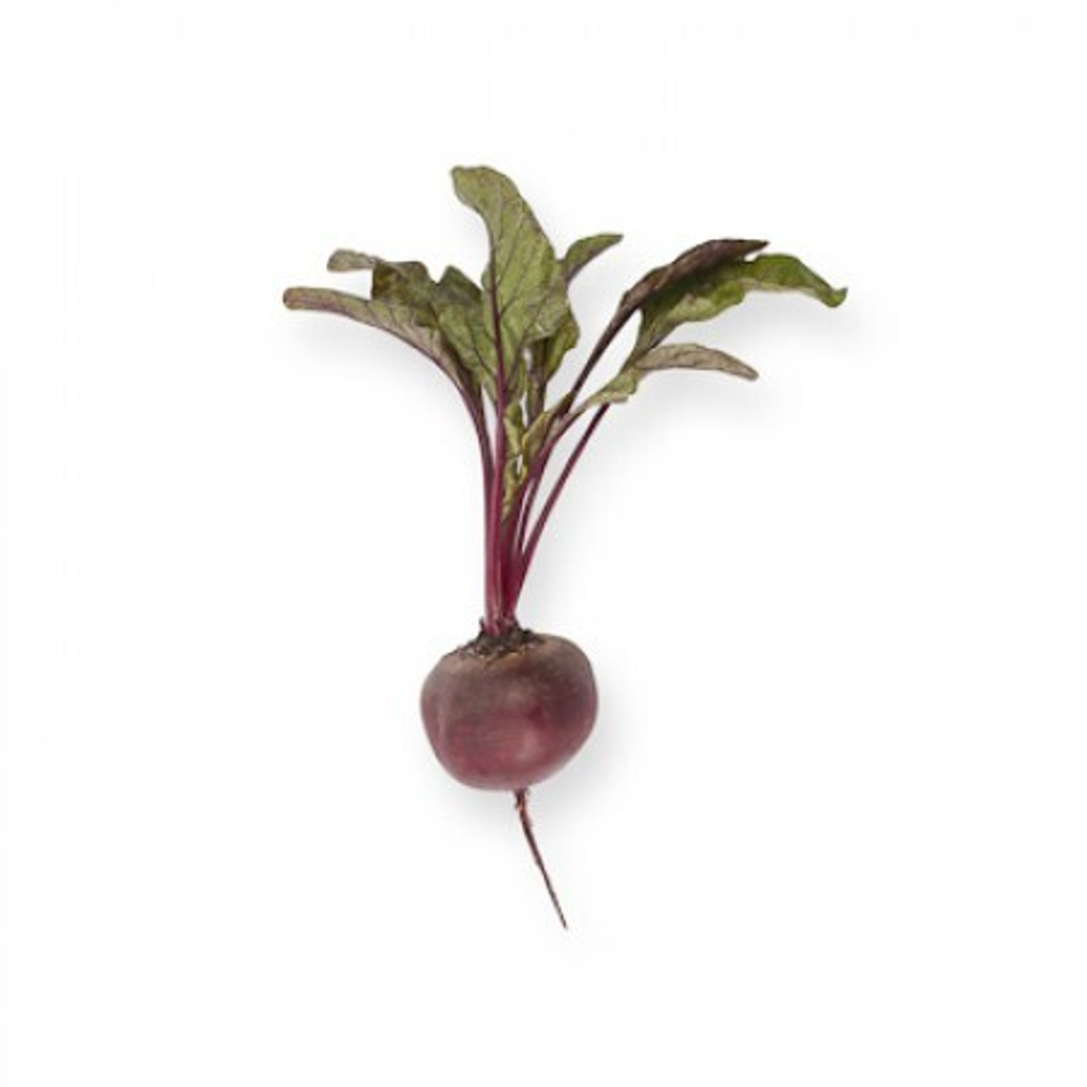 Свекла Ларка 1гр Мировые Семена VITA GREEN