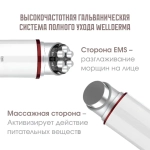 WellDerma Двусторонний Микротоковый Гальванический массажёр для EMS-лифтинга Total Care System EMS Galvanic