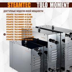 Парогенераторы для хамама и турецкой бани Steamtec TOLO MOMENT - 18 кВт/ Cерия PLATINUM со встроенной музыкой, пультом на 9-ти языках и возможностью монтажа без термодатчиков