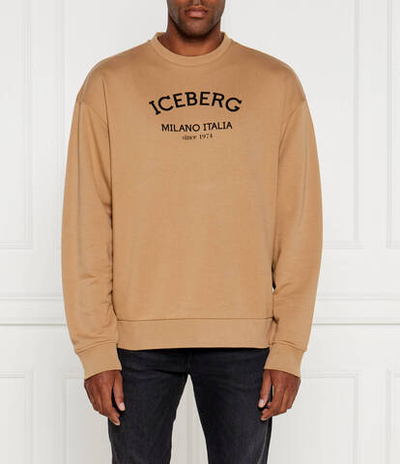 Худи Iceberg - коричневый(245 I1P E05D 6317)