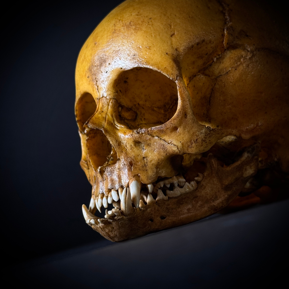 Маленький монстр