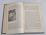 "Путешествия". Н.Н. Миклухо-Маклай. 1941г.