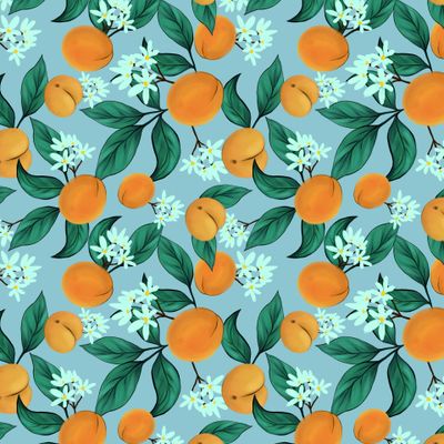 Абрикосы на ветках