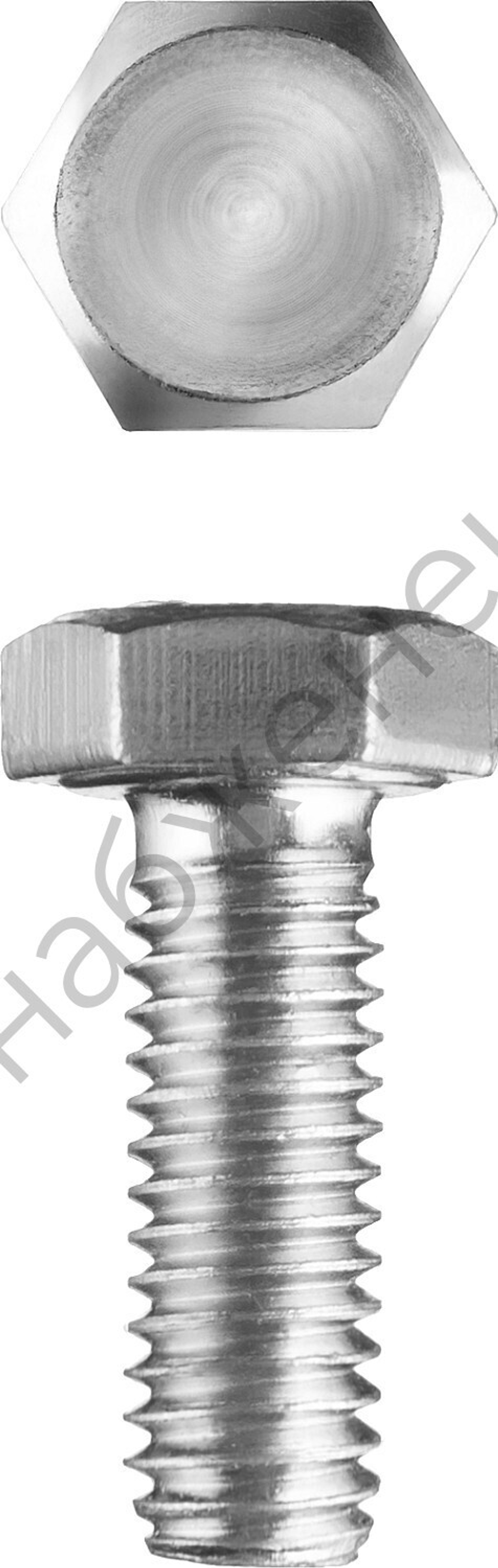 ЗУБР ГОСТ 7798-70 кл. пр. 5.8, M5 x 14 мм, болт оцинкованный, 5 кг (303080-05-014)