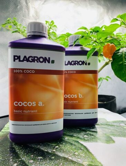 Plagron Cocos A B 1 л