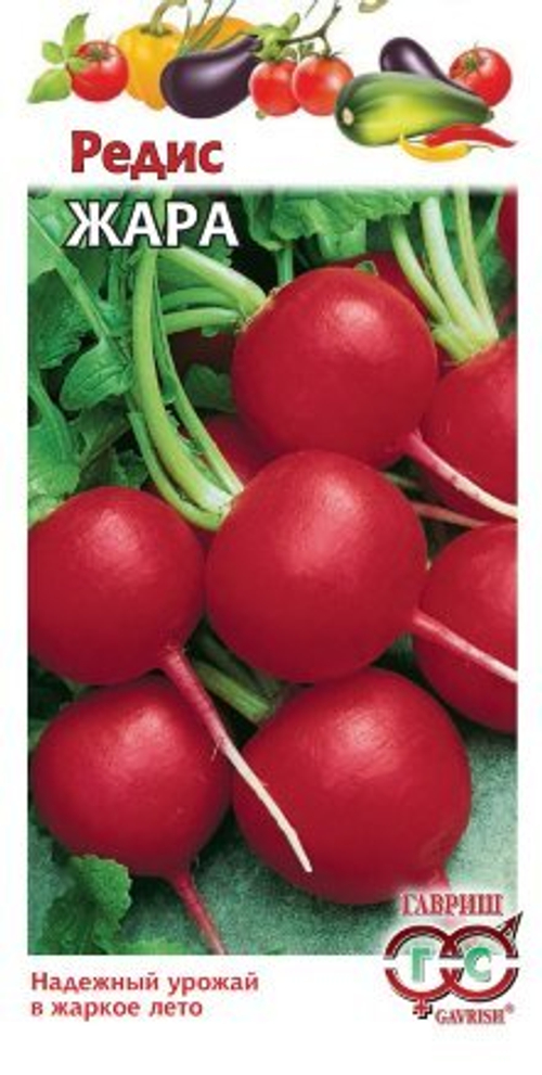 Редис Жара 3,0г Гавриш