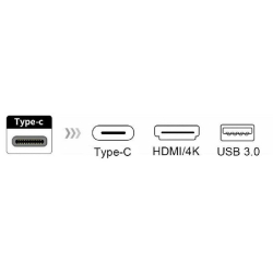 ORIENT Кабель-адаптер C028, USB3.1 Type-C (DisplayPort Alt mode) -&gt; HDMI+USB 3.0+PD(Type-C), 4K@30Hz, 0.15 метра, серебристый (31062)