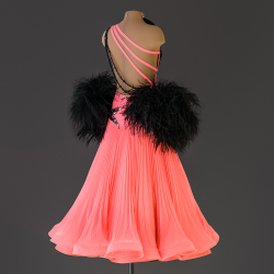 ST 027-01 Платье для Стандарта (Standard dress)