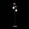 Торшер Evoluce Bagetti SL1142.405.01