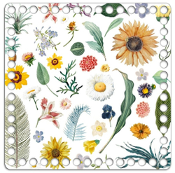 Донышко Принт 20*20см