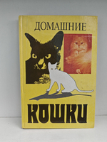 Домашние кошки