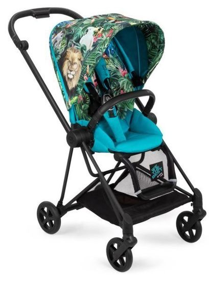 Прогулочная коляска Cybex Mios Fe DK We the Best