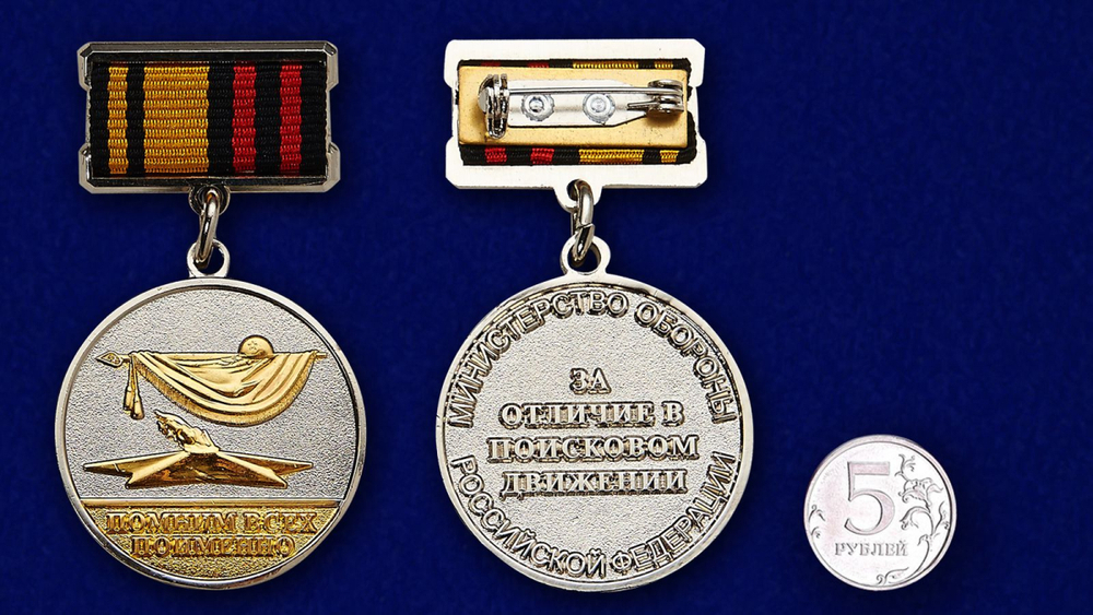 Знак отличия "За отличие в поисковом движении" 2 степени
