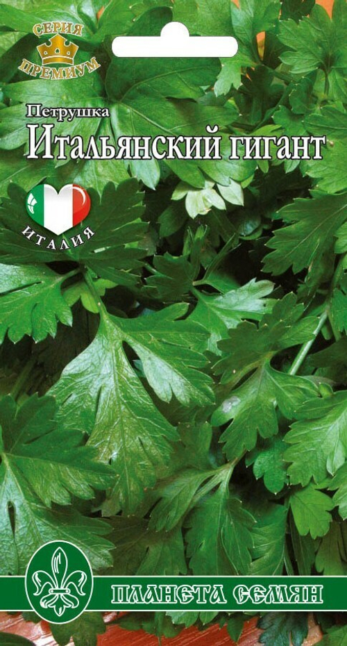 Петрушка листовая Итальянский гигант
