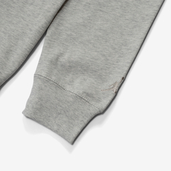 Air Jordan Longsleeve "Grey"