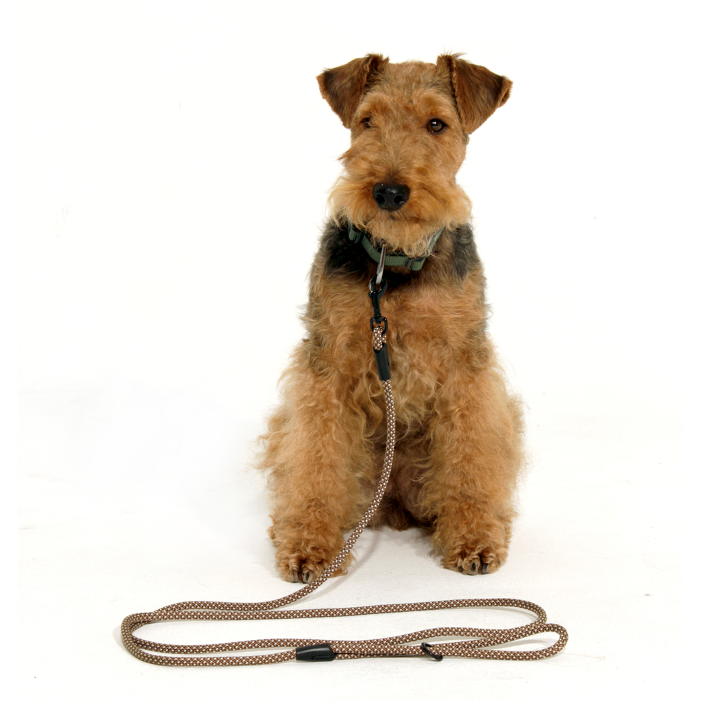 Поводок Weekend Doglea