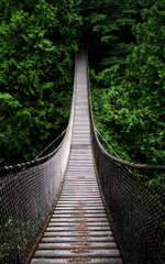 Товар с вариантами и опциями