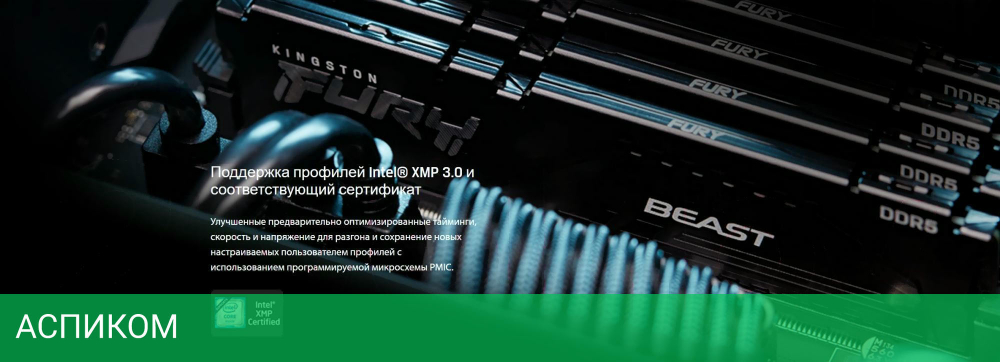 Оперативная память Kingston Fury Beast 16GB PC5-44800 DDR5-5600 CL40 (KF556C40BB-16)