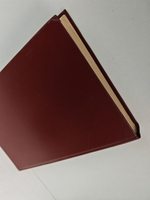 Семнадцать мгновений весны: Роман