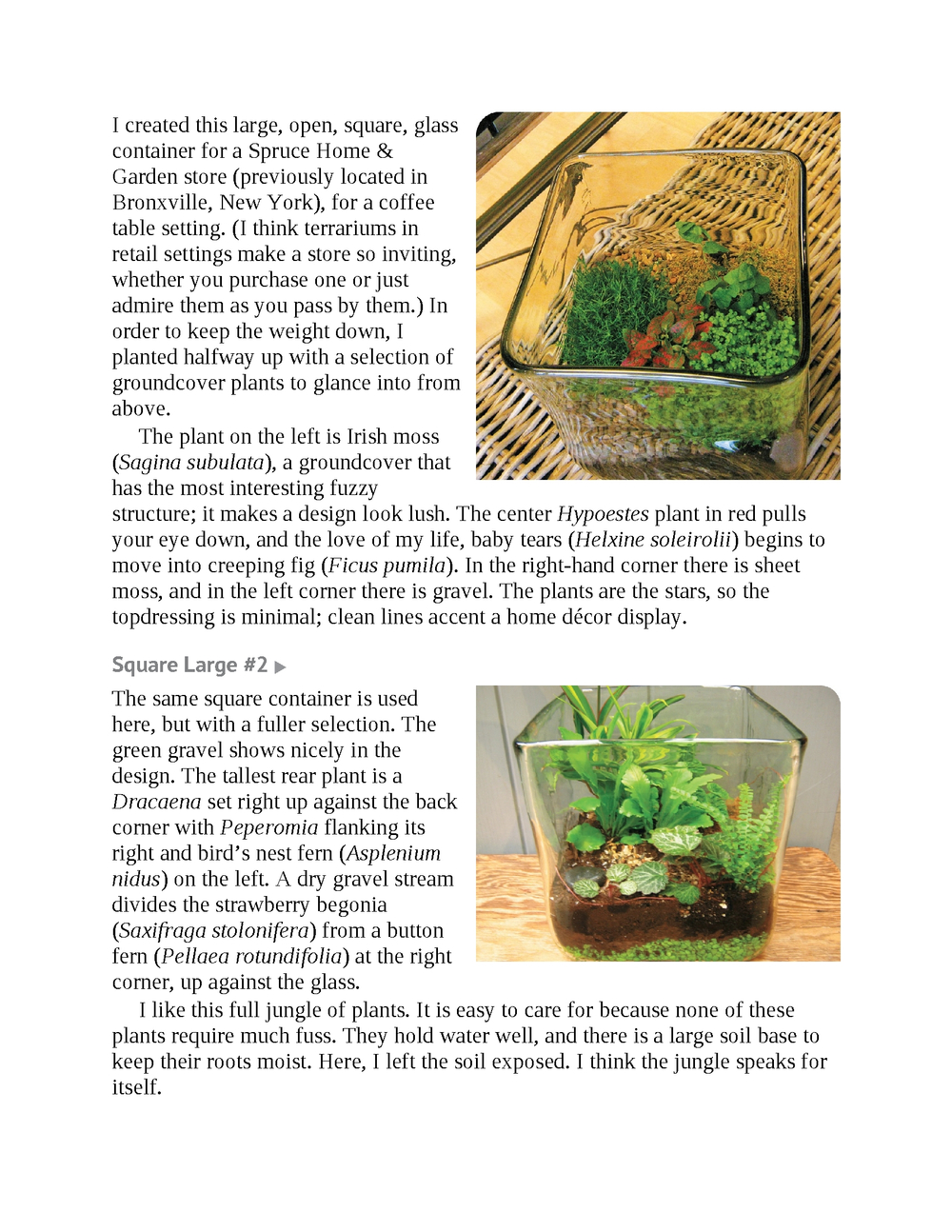 Terrariums - Gardens Under Glass