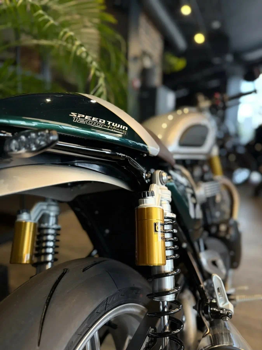 Triumph Speed Twin, 2026