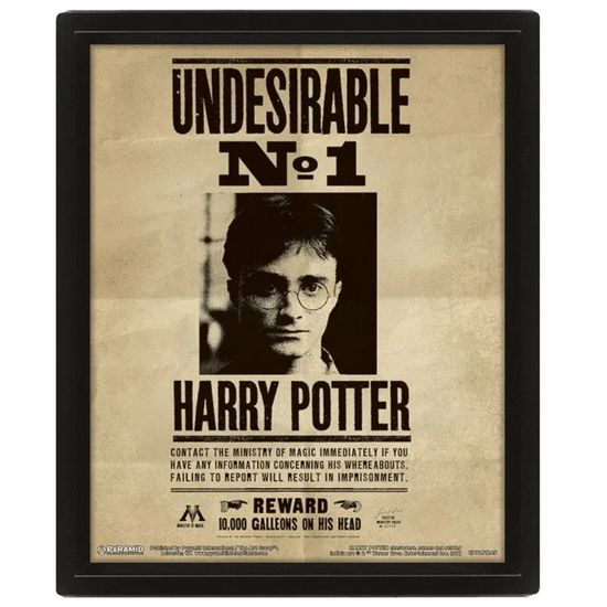 3D картина в рамке Harry Potter (Potter / Sirius)  EPPL71245