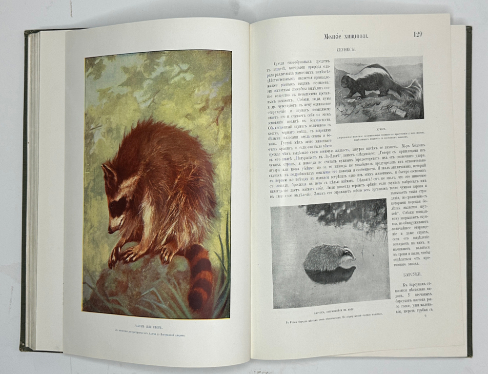 Корниш Чарльз Д. Жизнь животных. В 2-х т. В 2-х книгах. Москва. Издание Кнебель. 1909г.