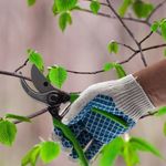 Секатор прямого реза, 200 мм, металлические обрезиненные рукоятки, Palisad, 605495