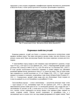 Основы промысла белки | Я. С. Русанов