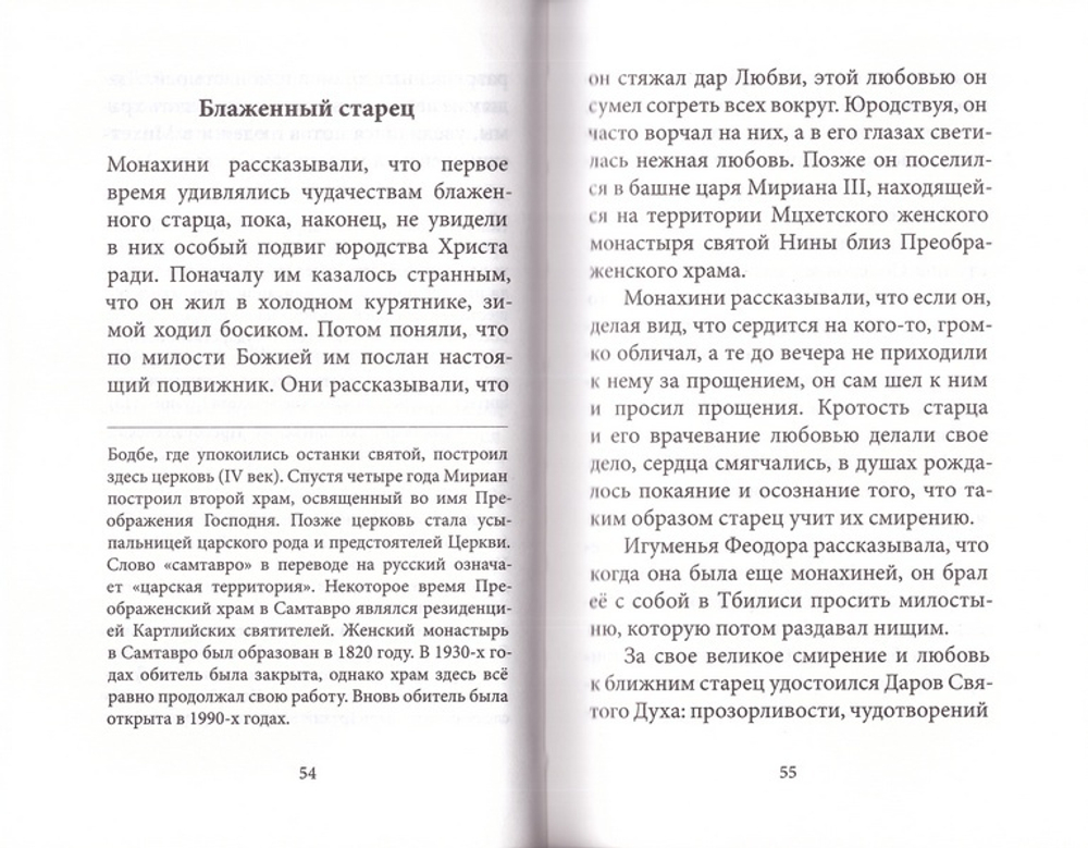 Духом святым окрыленный. Преподобноисповедник и чудотворец Гавриил  (Ургебадзе)