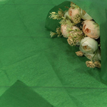 Бумага В листах 10 шт "Тишью" 50 х 66 см (Зеленый)