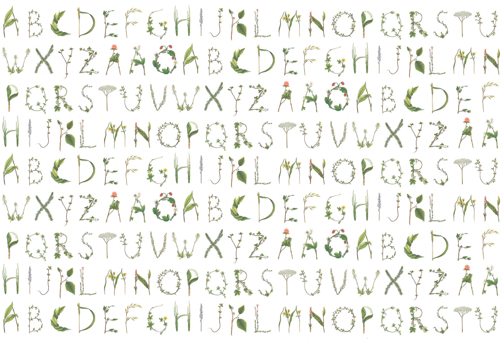 Коллекция Типографика